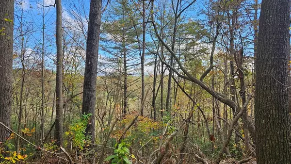 Lot 154 Rhondas Way, Ellijay, GA 30540