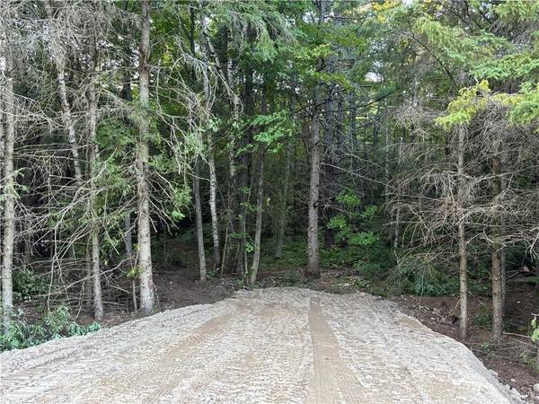 0 FOYMOUNT RD, Bonnechere Valley, ON K0J 1T0