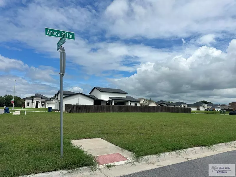 00 ARECA PALM, Brownsville, TX 78526