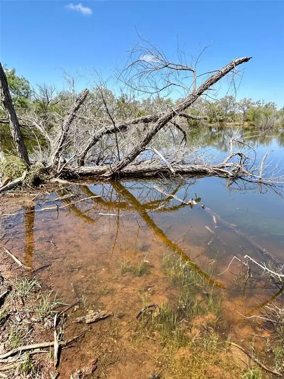 Ovalo, TX 79541,TBD CR  176