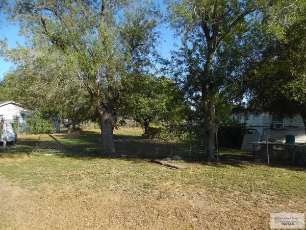 Sebastian, TX 78594,LOTS 28-29 E FM 506