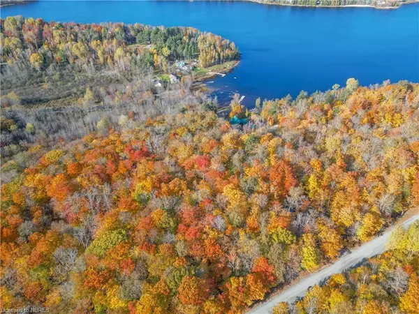 Parry Sound, Unorganized, Centre Part, ON P0H 2R0,PT 1 LT 21 LIMBERLOST POINT RD