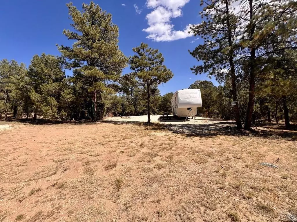 Cotopaxi, CO 81223,1474 Elkhorn Rd