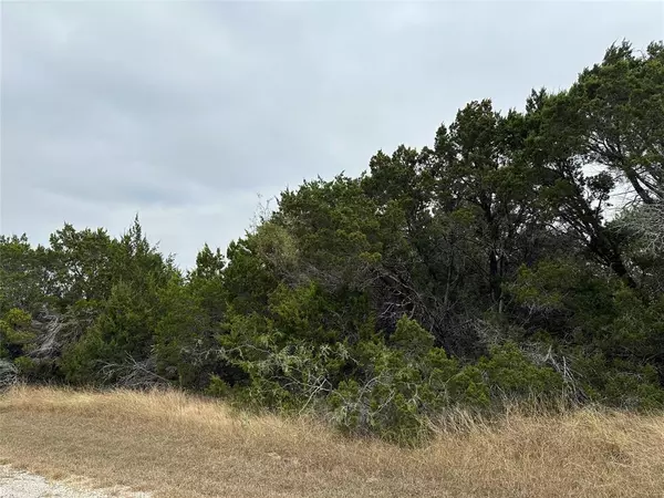 43031 Cedar Hill Drive, Whitney, TX 76692