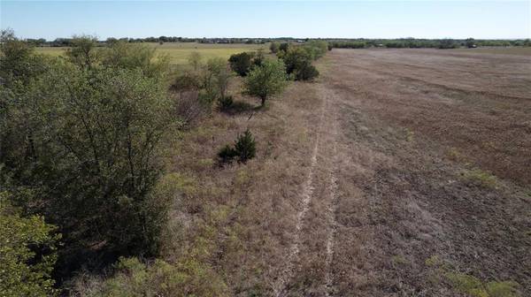 TBD Farm Road 1744, Carlton, TX 76436