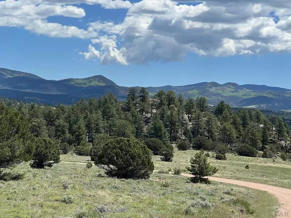 Westcliffe, CO 81252,146 Shawnee Trail