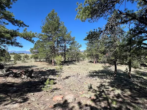 Westcliffe, CO 81252,146 Shawnee Trail