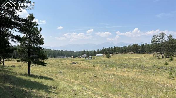 Lot 54 Democrat CIR, Westcliffe, CO 81252