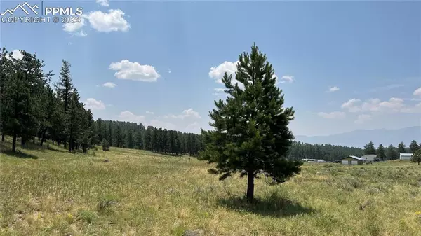 Westcliffe, CO 81252,Lot 54 Democrat CIR