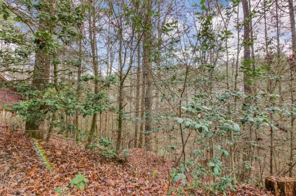 Lot 2 Laurel Overlook Road, Ellijay, GA 30540