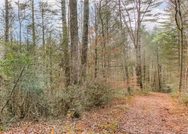 Ellijay, GA 30540,Lot 2 Laurel Overlook Road