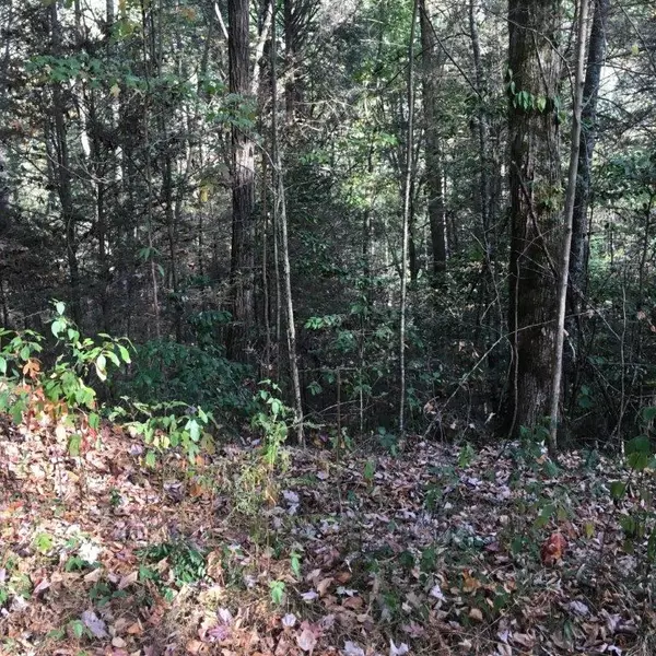 Ellijay, GA 30540,Lot 2 Laurel Overlook Road