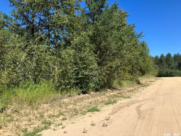 Tobin Lake, SK S0E 1E0,Rural Address