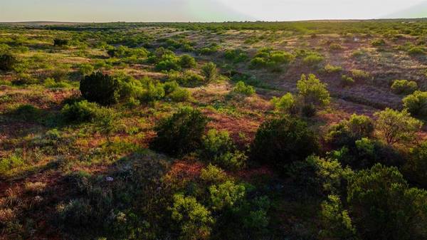 Childress, TX 79201,TBD Highway 83