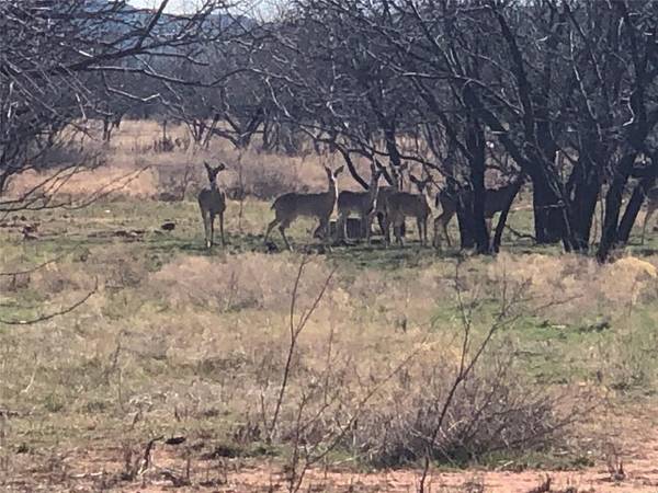 Abilene, TX 79602,90 Acre Bacacita Farms Road