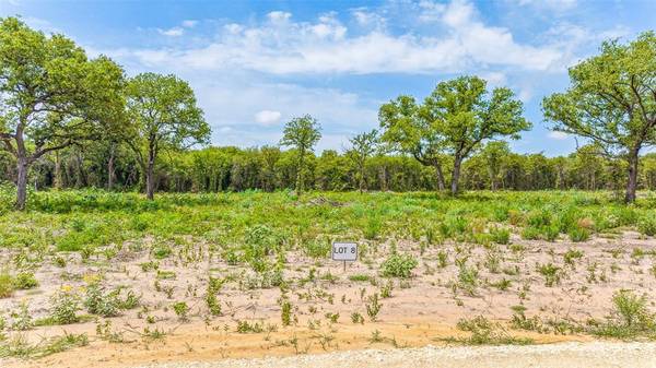 Stephenville, TX 76401,TBD Bur Oak Drive