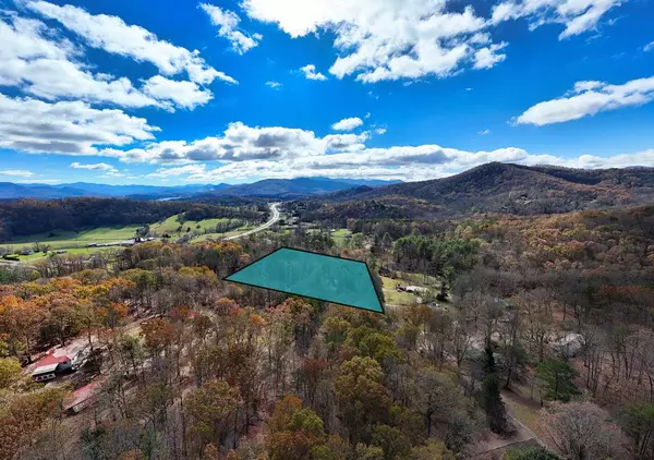 217 Clyde Curtis Drive, Hayesville, NC 28904