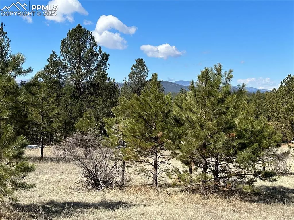 Florissant, CO 80816,189 Rhyolite LN