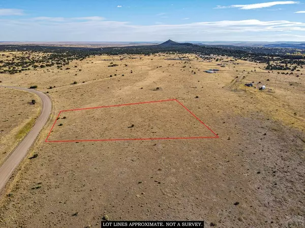 Lot 118 Greenhorn Village, Walsenburg, CO 81089