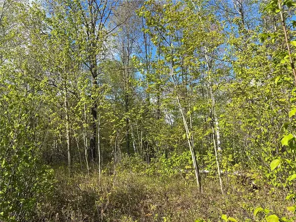 Lot 6 CASSON TRL, Madawaska Valley, ON K0J 1B0