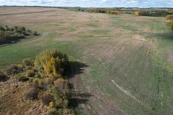 Rural Ponoka County, AB T0B 0H0,On Range Road 233