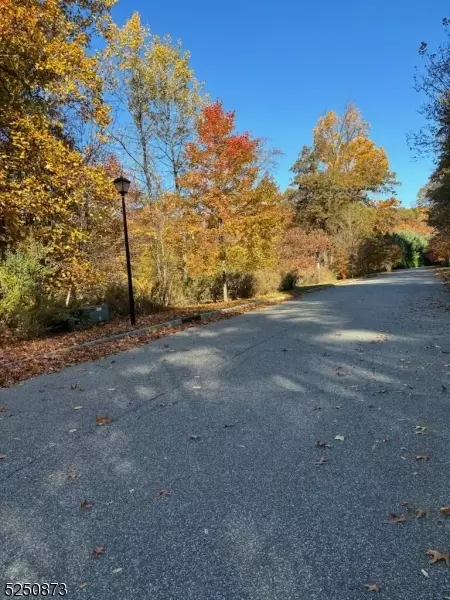 Montville Twp., NJ 07045,1 Quarry Mountain Ln