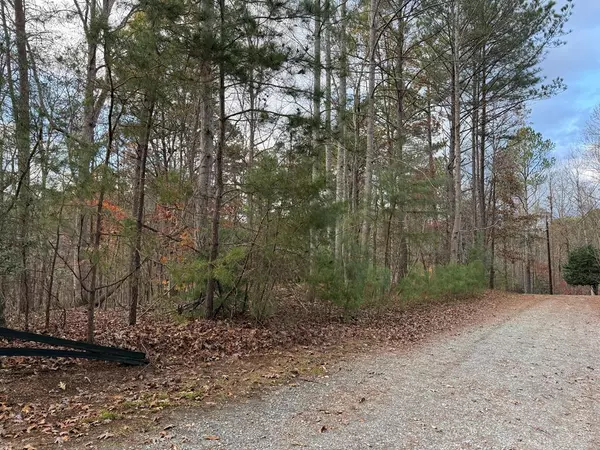 Ellijay, GA 30540,Lot 99 Acella Court