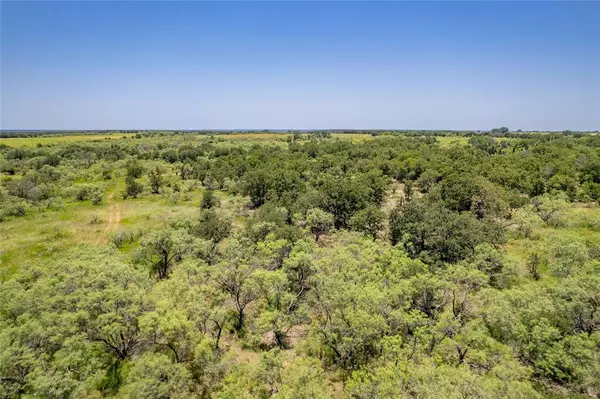 Cross Plains, TX 76443,TBD County Road 556