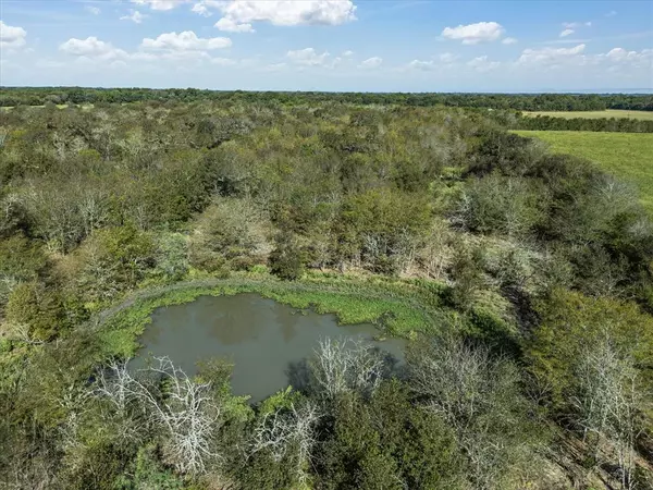 Purdon, TX 76639,175.95 AC FM 55