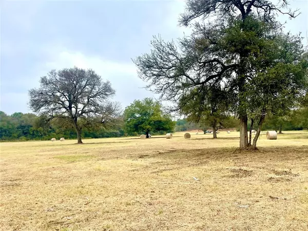 Covington, TX 76636,TBD 13.865 Acres Gathings Avenue