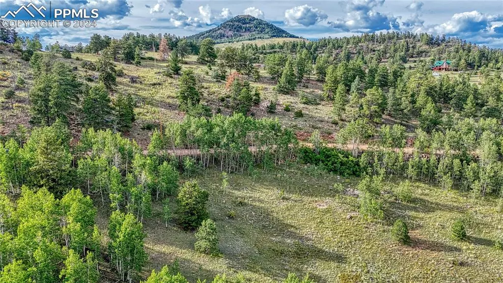 Cripple Creek, CO 80813,1325 Penrose CIR