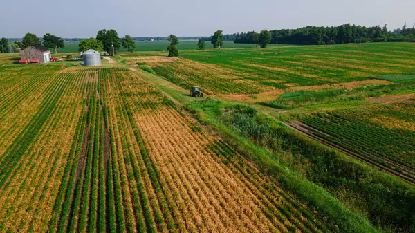 Chatham-kent, ON N0P 1T0,15178 Spence Line