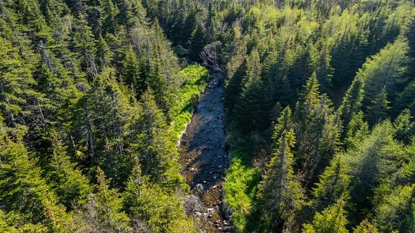 Logy Bay-middle Cove-outer Cove, NL A1K 4B4,106 Lower Road