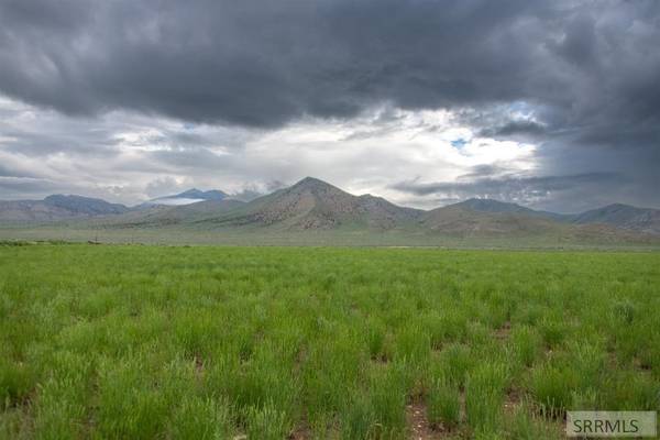 TBD US Hwy 20, Arco, ID 83213