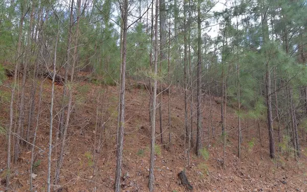 Young Harris, GA 30582,Lot 64 Meadow Brooke