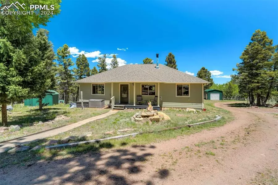 453 Castle Mountain DR, Guffey, CO 80820