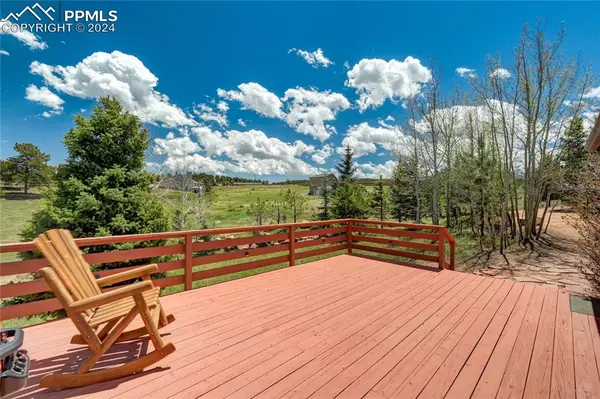 Woodland Park, CO 80863,185 brown PL