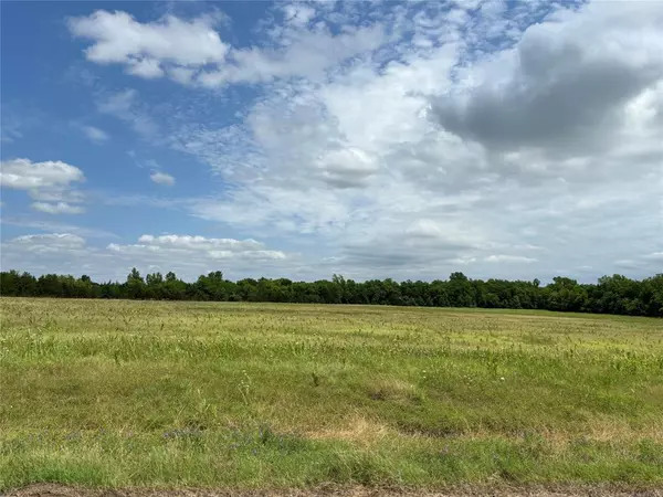 Honey Grove, TX 75446,24900 Tract 2 County Line Road