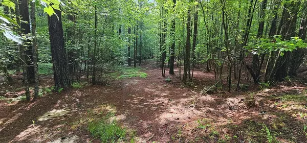 Lot 196 Carriage Lane NW,  Blairsville,  GA 30512