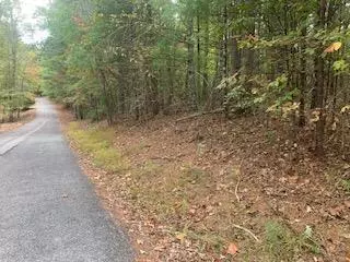 Lot 4 Cane Creek Ridge, Blairsville, GA 30512