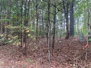 Blairsville, GA 30512,Lot 4 Cane Creek Ridge