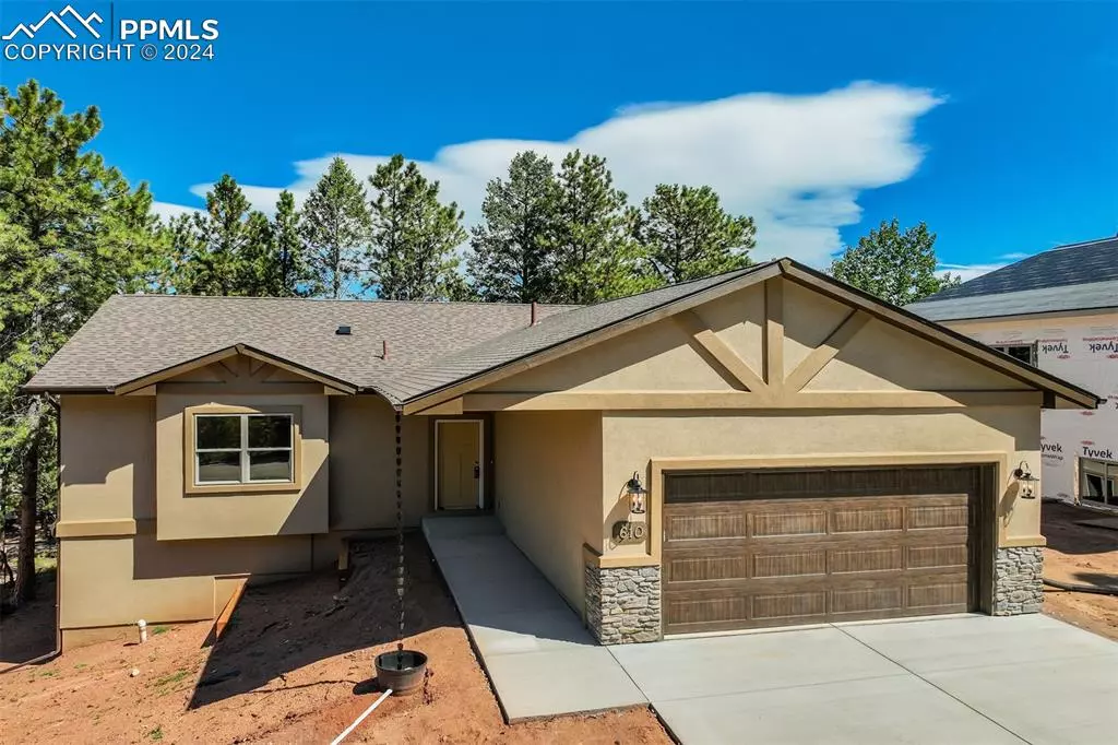 Woodland Park, CO 80863,610 Misty Pines CIR