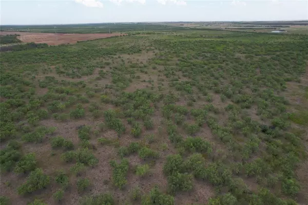 Lueders, TX 79533,50.0 Ac (N) TBD FM 1597