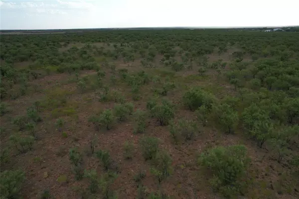 Lueders, TX 79533,50.0 Ac (N) TBD FM 1597