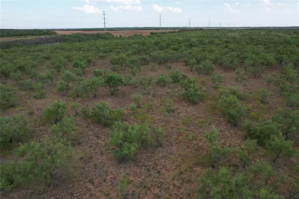 Lueders, TX 79533,50.0 Ac (N) TBD FM 1597