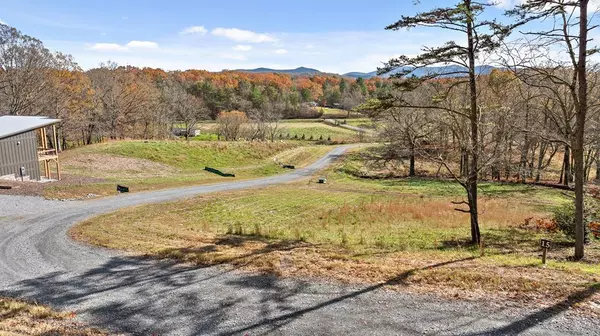 Blue Ridge, GA 30513,Lt 15&16 Bearden Farm Overlook