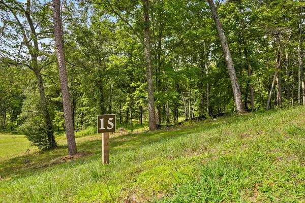 Blue Ridge, GA 30513,Lt 15&16 Bearden Farm Overlook