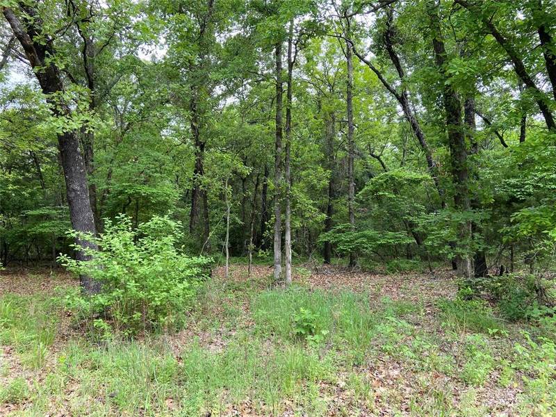 23388 Fm-1995, Lindale, TX 75771