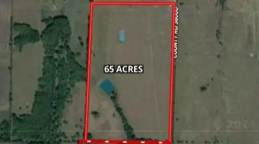 Honey Grove, TX 75446,801 CR-36010