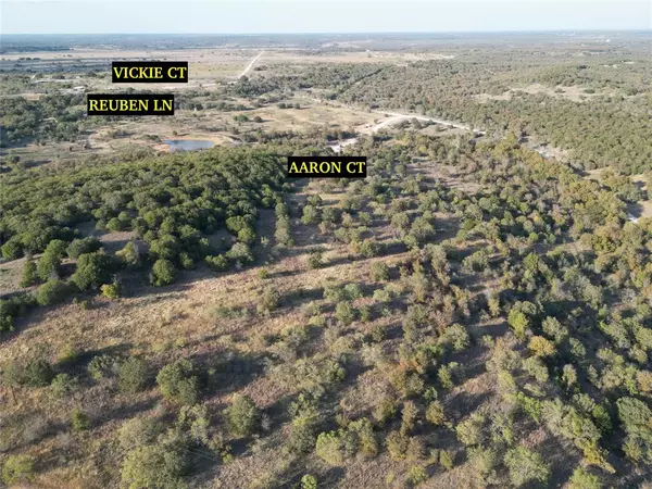 Chico, TX 76431,Lot 45 Aaron Court